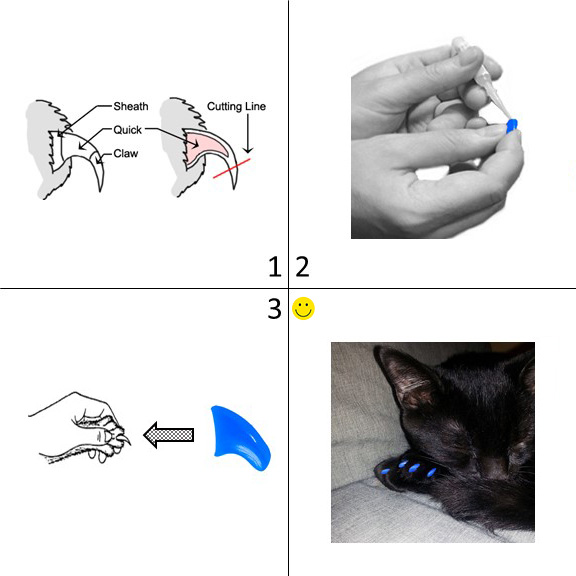 Cat Nail Caps: Why Use Them and How to Apply Them