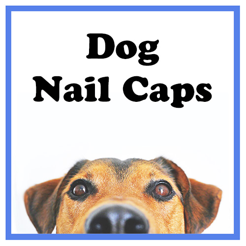 Dog Nail Caps